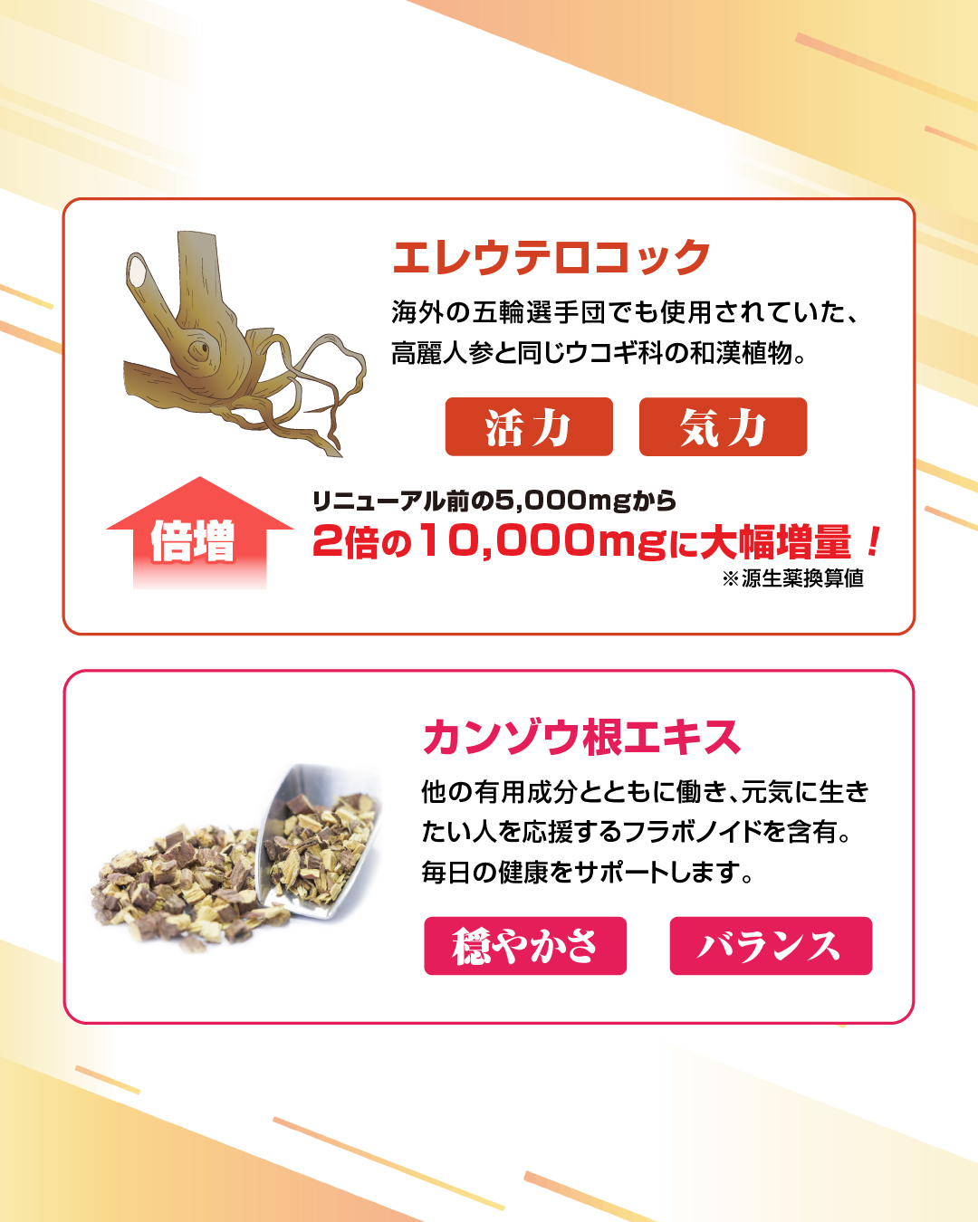 ナンショット(50ml×10本)