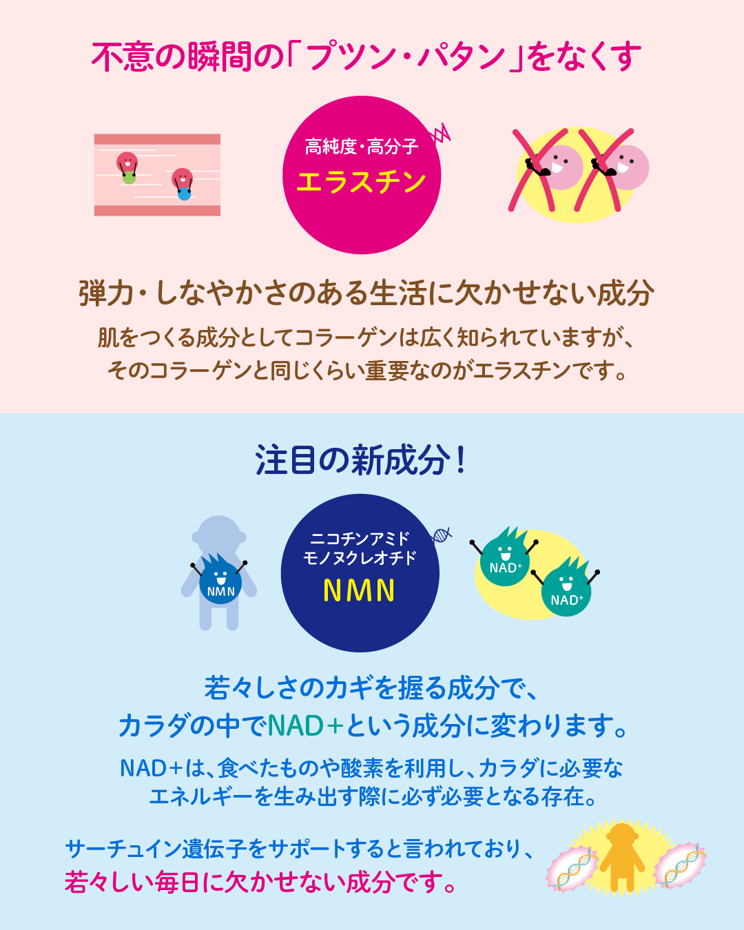 Dr.エンザイムNMN(50粒)