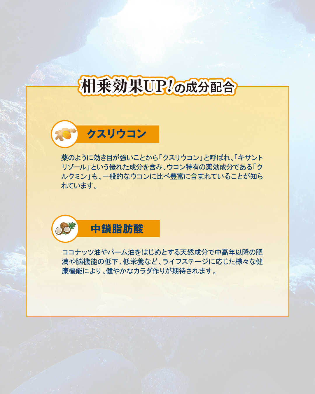 フコイダンGS(60粒)