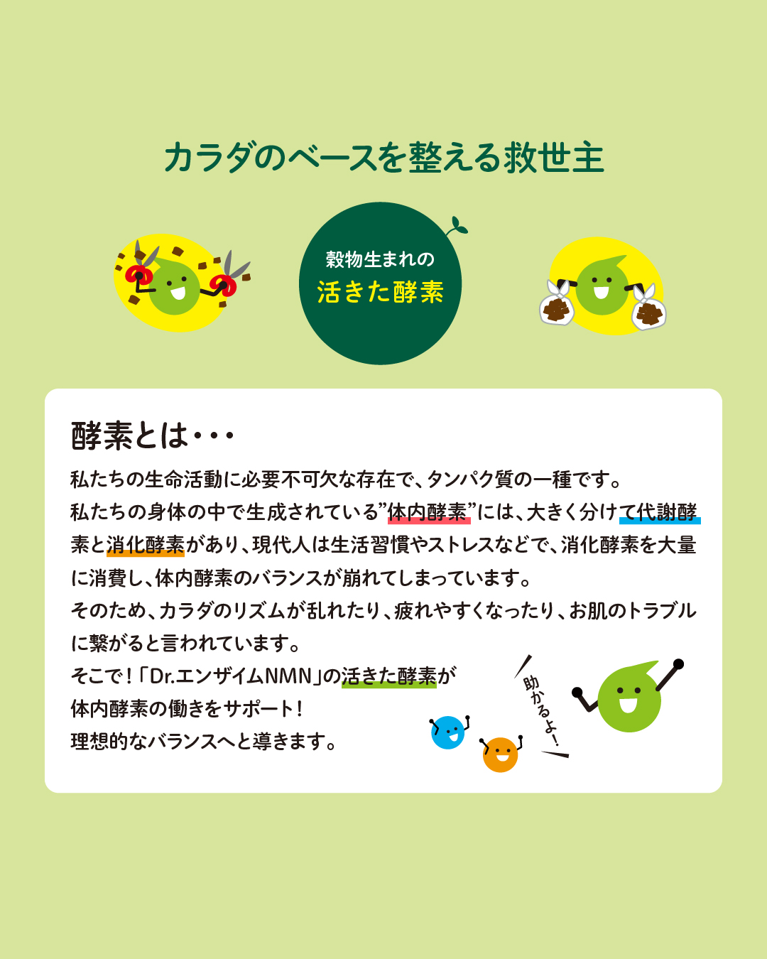 Dr.エンザイムNMN(50粒)