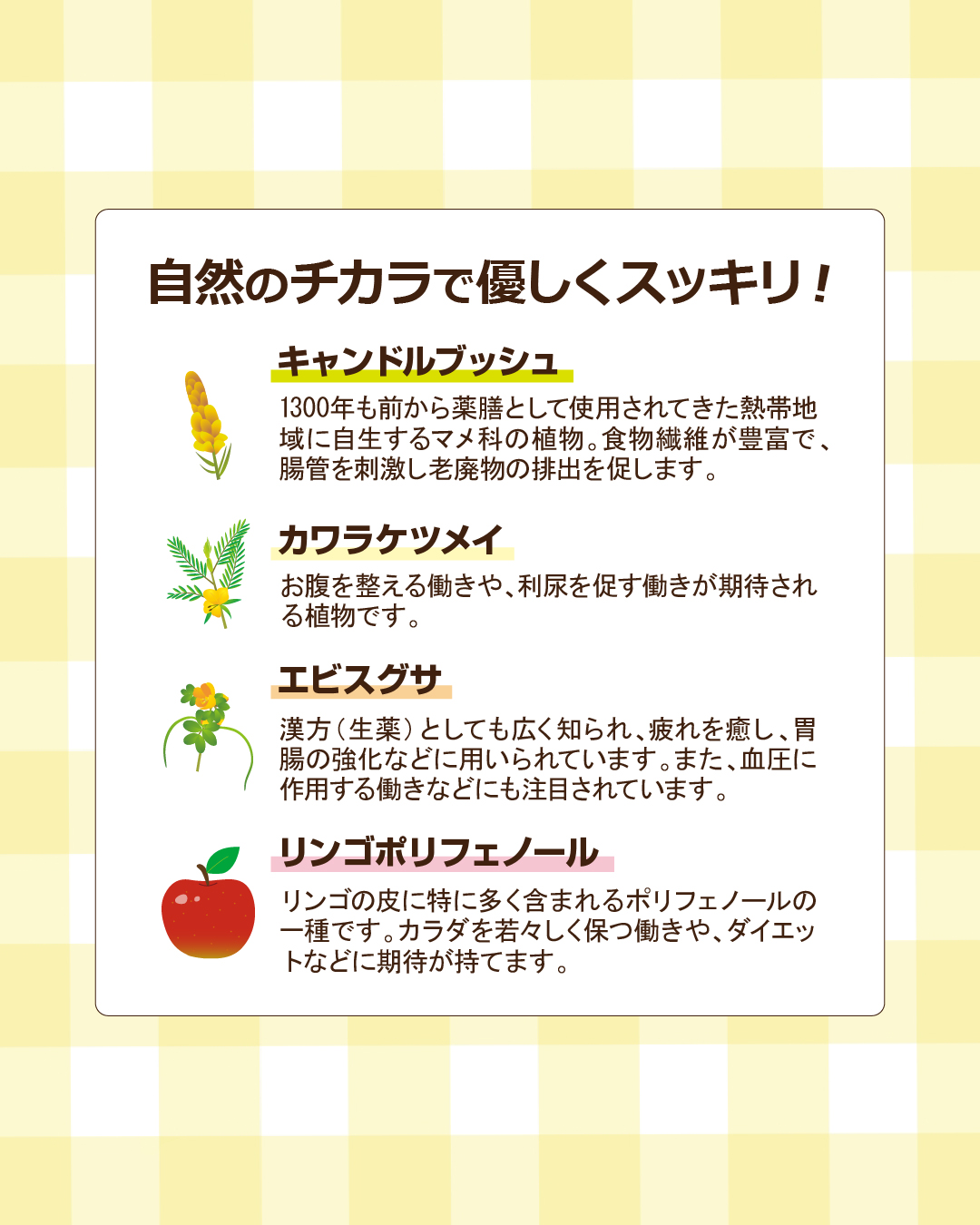 デルヨ(30袋)