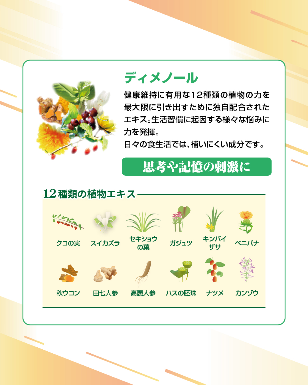 ナンショット(50ml×10本)