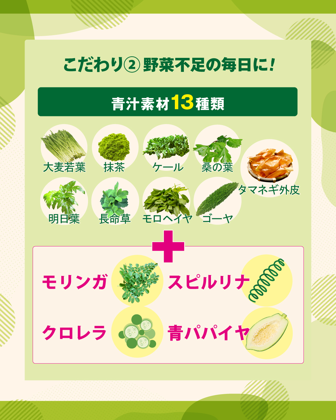 トレルト(22本)