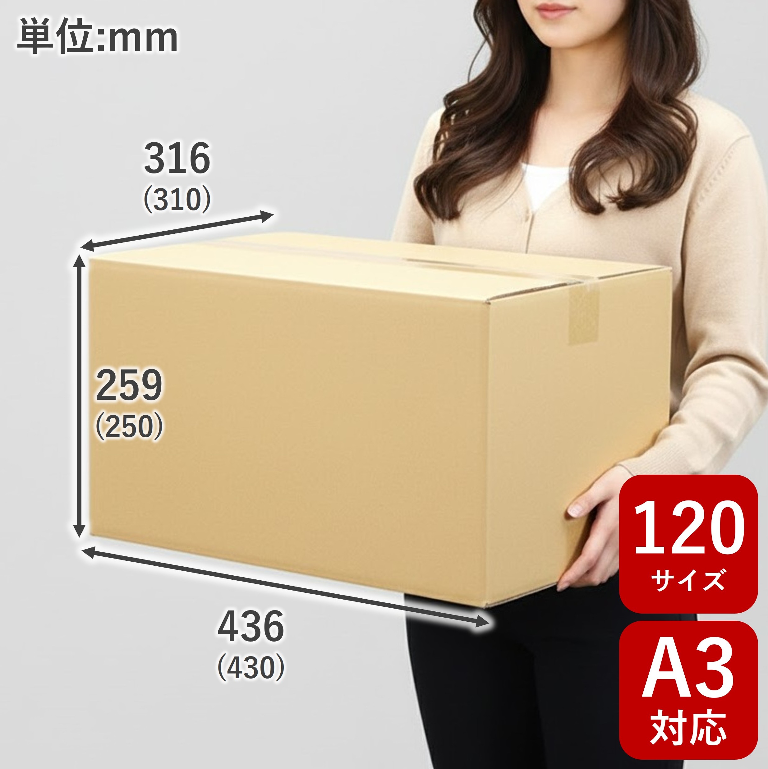 【宅配120サイズ】ダンボールNo.6 10枚（A3サイズ）