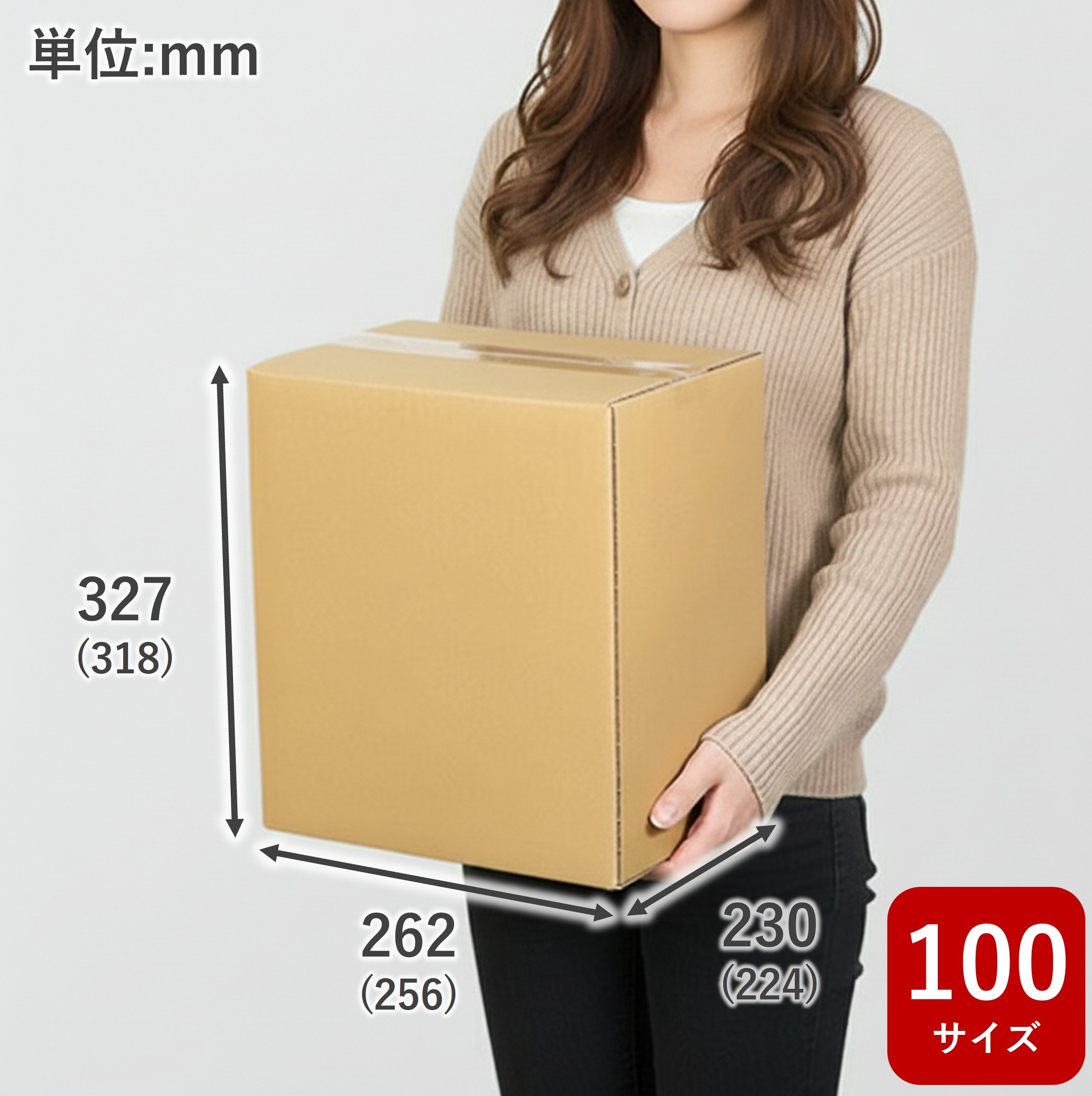 【宅配100サイズ】ダンボールNo.23 10枚（256×224×318mm）