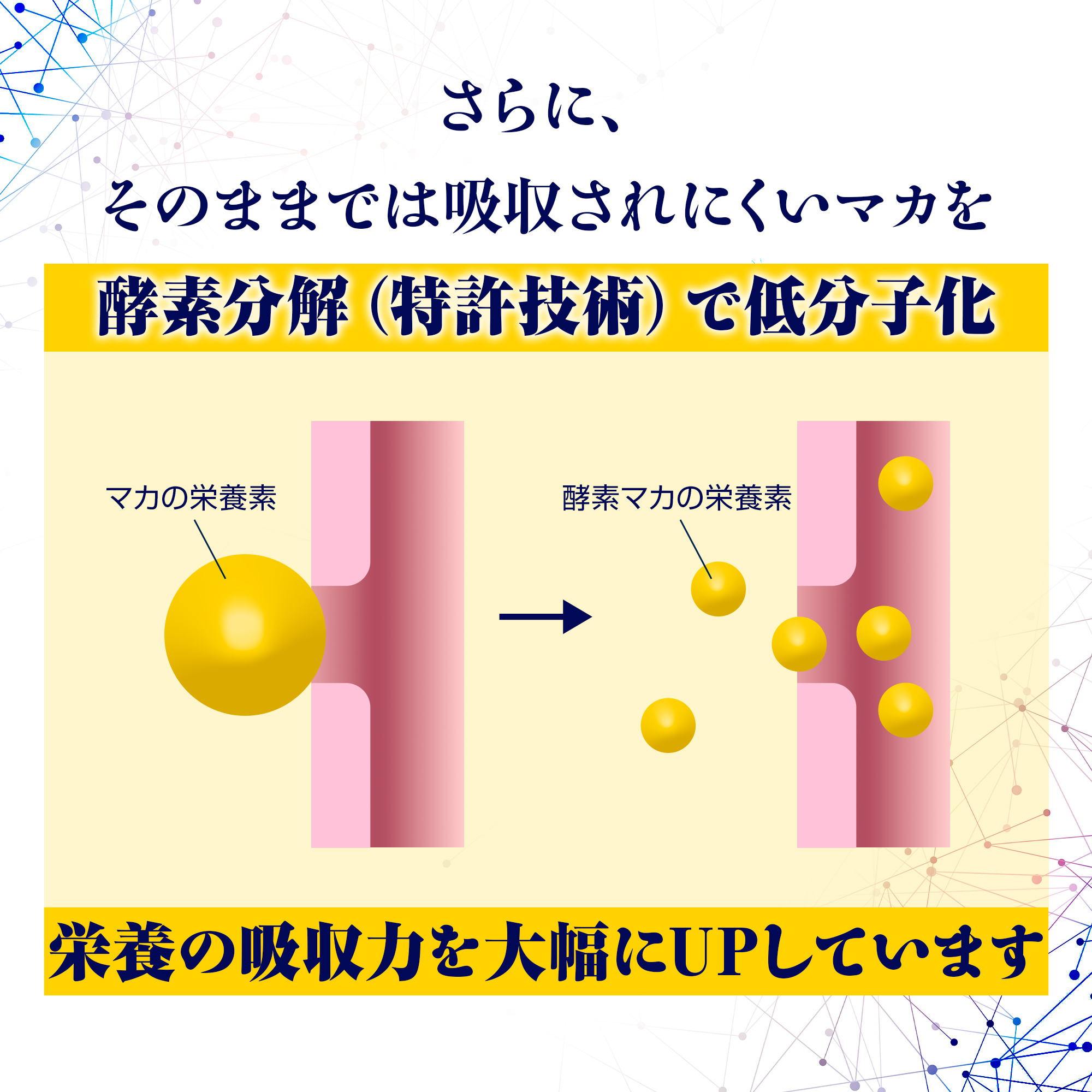 活力支援サプリメント（TENGA MEN'S CHECKER付き）