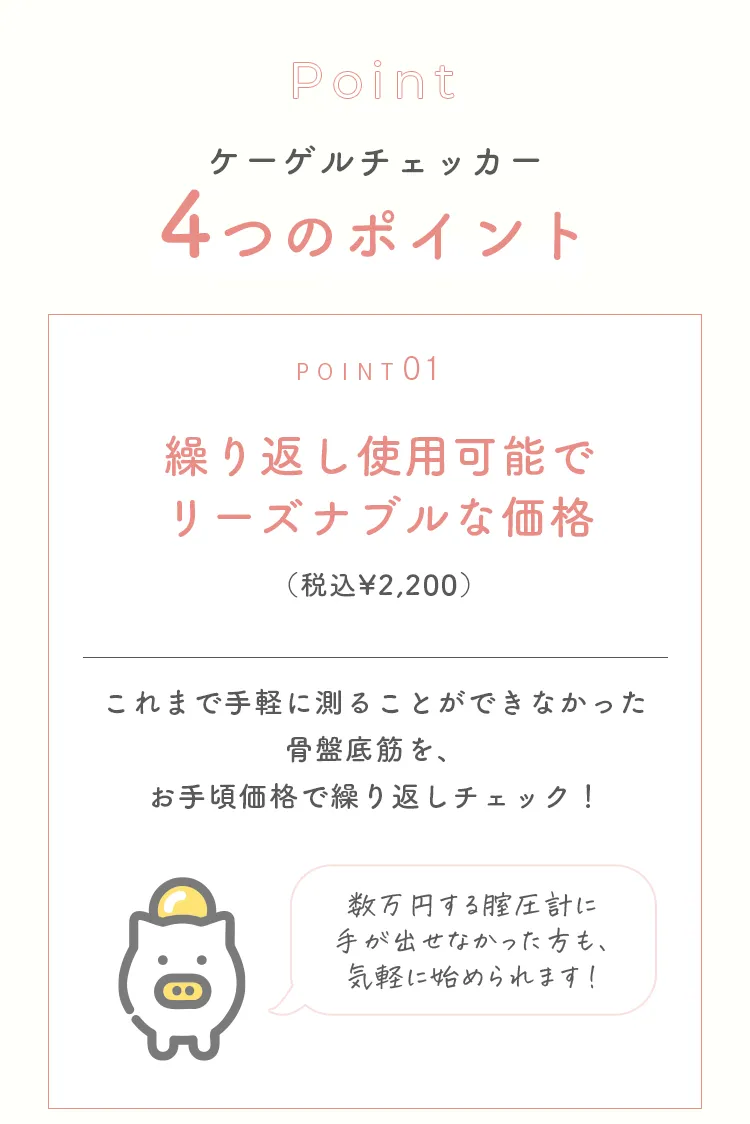 繰り返し使用可能でリーズナブルな価格