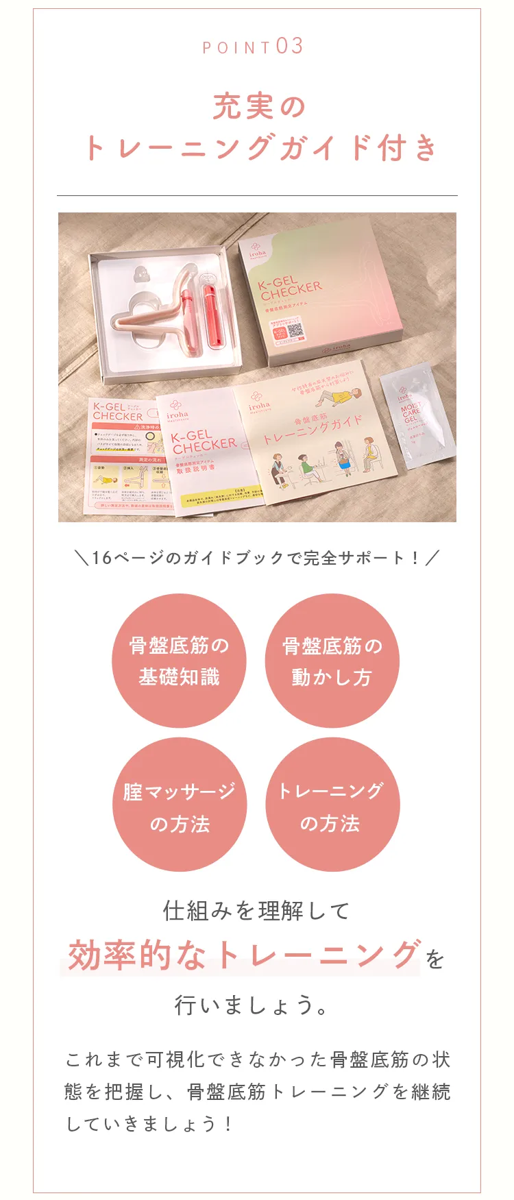 充実のトレーニングガイド付き