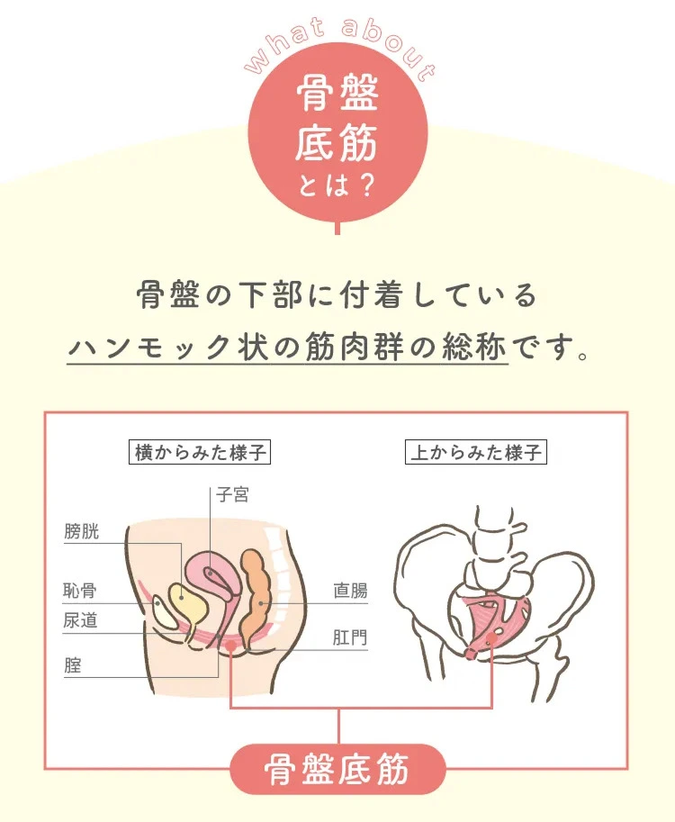 KCH-02_3.webp