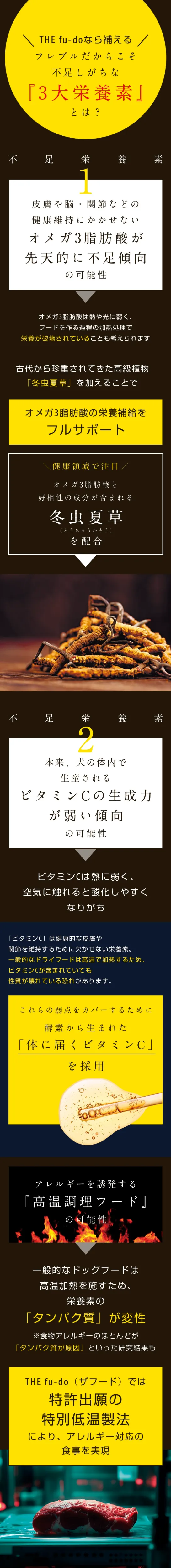 [特化した理由]