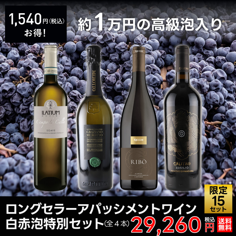【創業祭・人気品復活】ロングセラーアパッシメントワイン白赤泡特別セット（全4本）