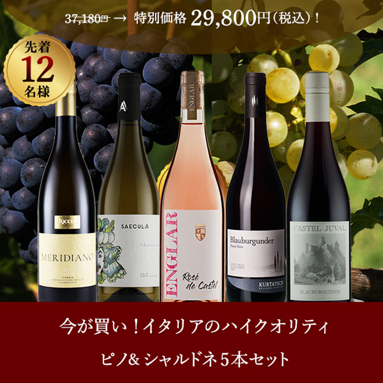 限定12【7,380円お得】今が「買い」！イタリアの実力派ピノ・ネロ＆シャルドネ5本セット