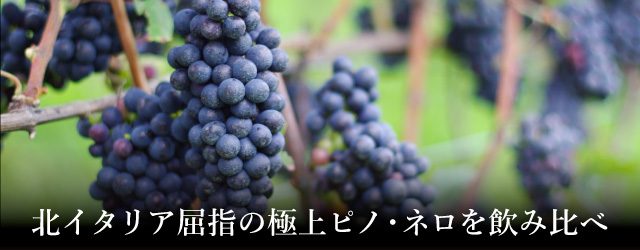 プレミアムワイン頒布会2025 04