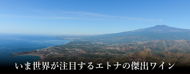 プレミアムワイン頒布会2025 05