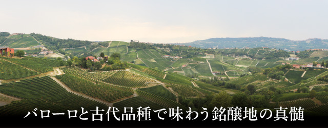 プレミアムワイン頒布会2025 06