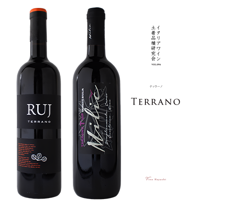 マガジン表紙イメージ