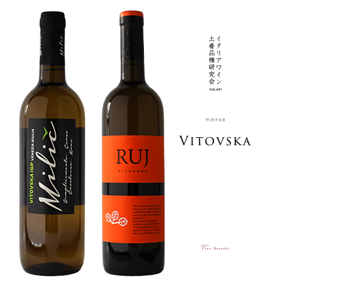 マガジン表紙イメージ