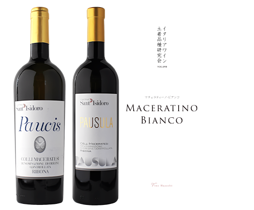 マガジン表紙イメージ