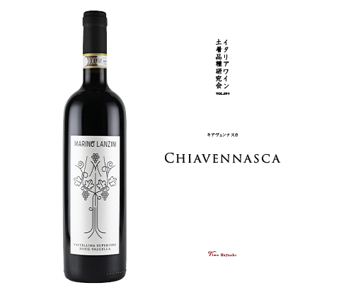 マガジン表紙イメージ