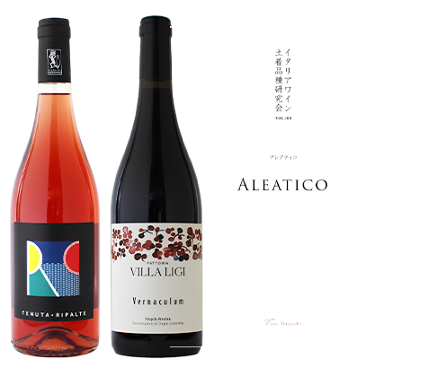 マガジン表紙イメージ