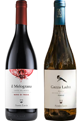 2026年7月のワイン