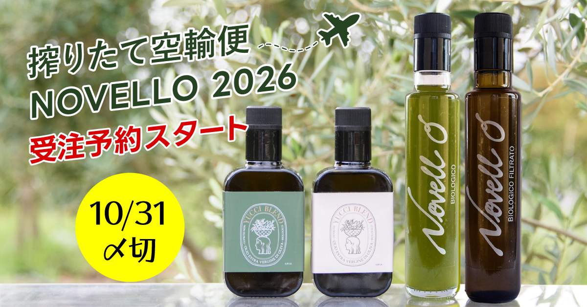 ノヴェッロ2026