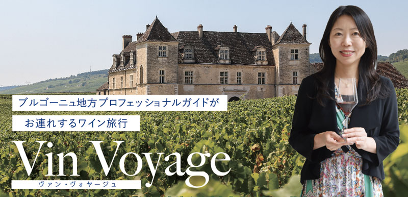 Vin Voyage