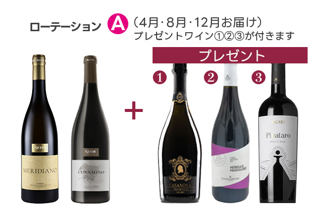 【ハイクオリティ・ローテーション】12回コース