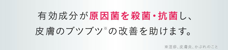 原因菌を殺菌＆抗菌｜ポテンツァクリーム ビシリッチ