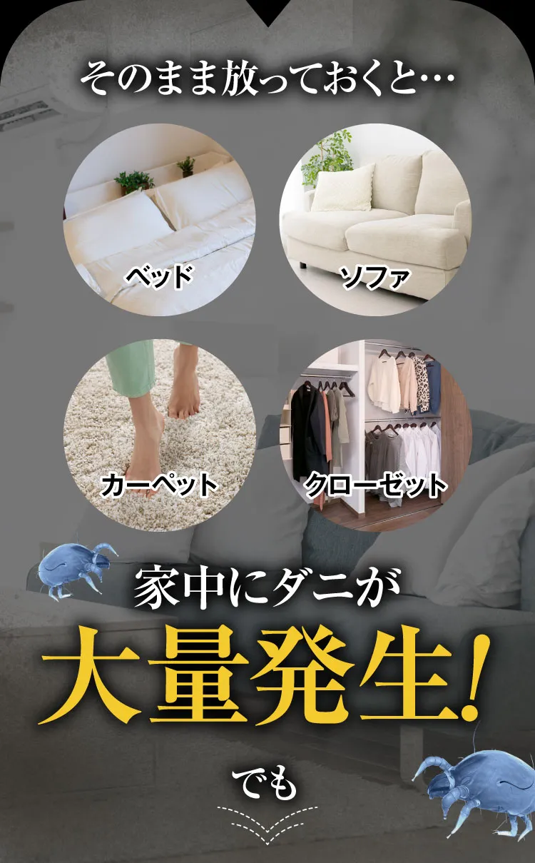 そのまま放っておくと家中にダニが大量発生