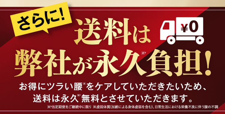 送料永久無料