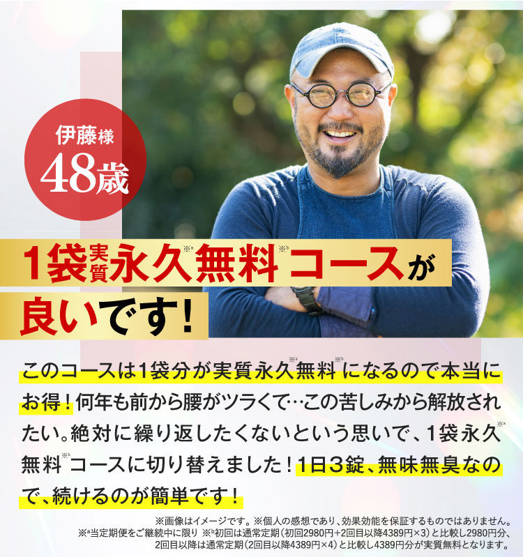 1袋永久無料コースが良いです