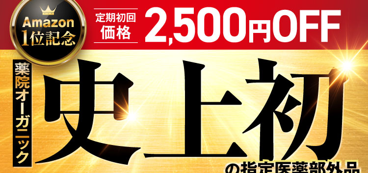 史上初