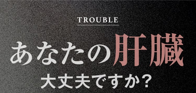 ただ今即出荷可能｜肝臓パワフル習慣