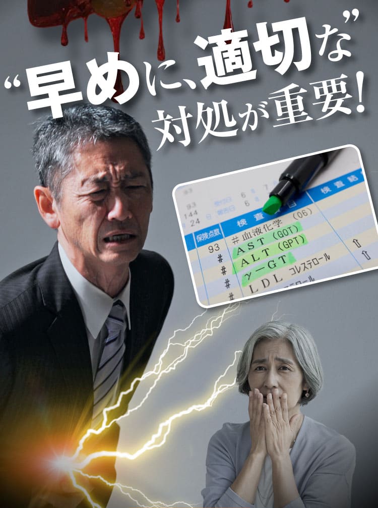 ただ今即出荷可能｜肝臓パワフル習慣