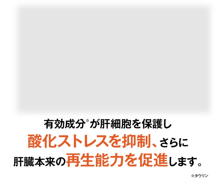 有害物質や毒素の排出を促進します｜肝臓パワフル習慣