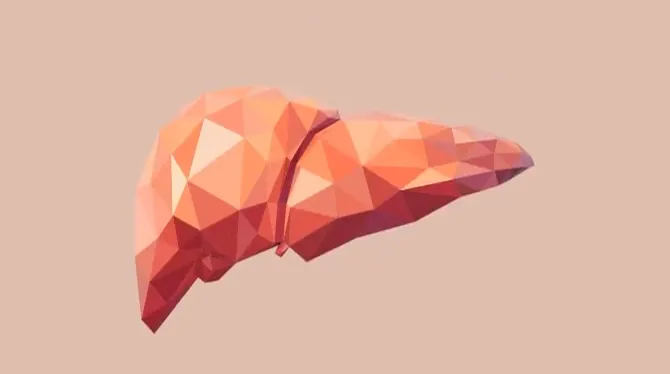 肝臓素材1｜肝臓パワフル習慣