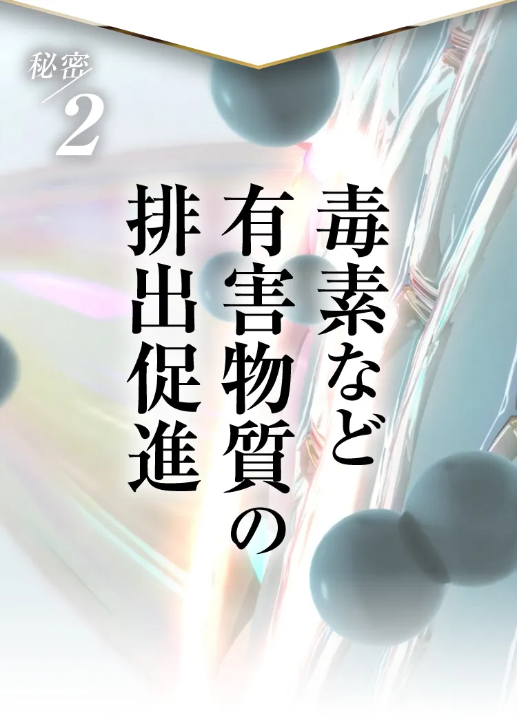 有害物質排出促進｜肝臓パワフル習慣