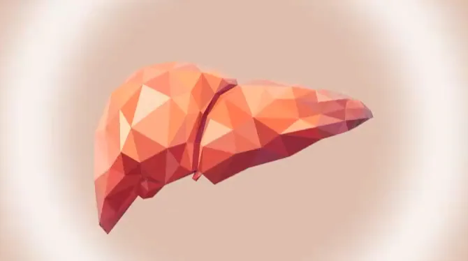 肝臓素材2｜肝臓パワフル習慣