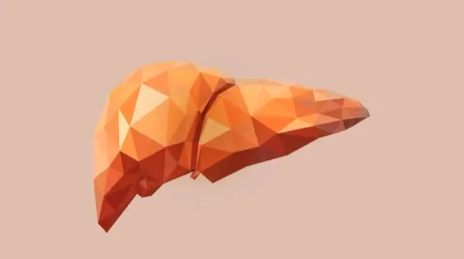 肝臓素材3｜肝臓パワフル習慣