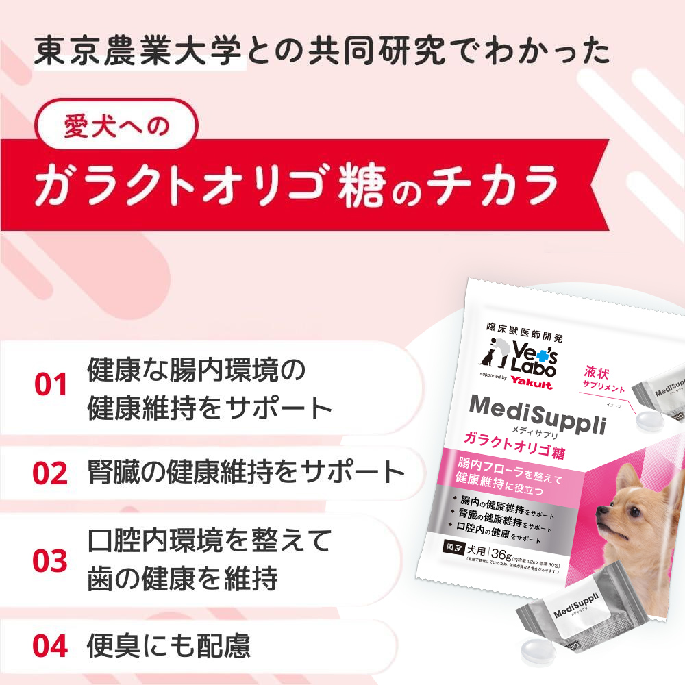 犬用MediSuppli ガラクトオリゴ糖