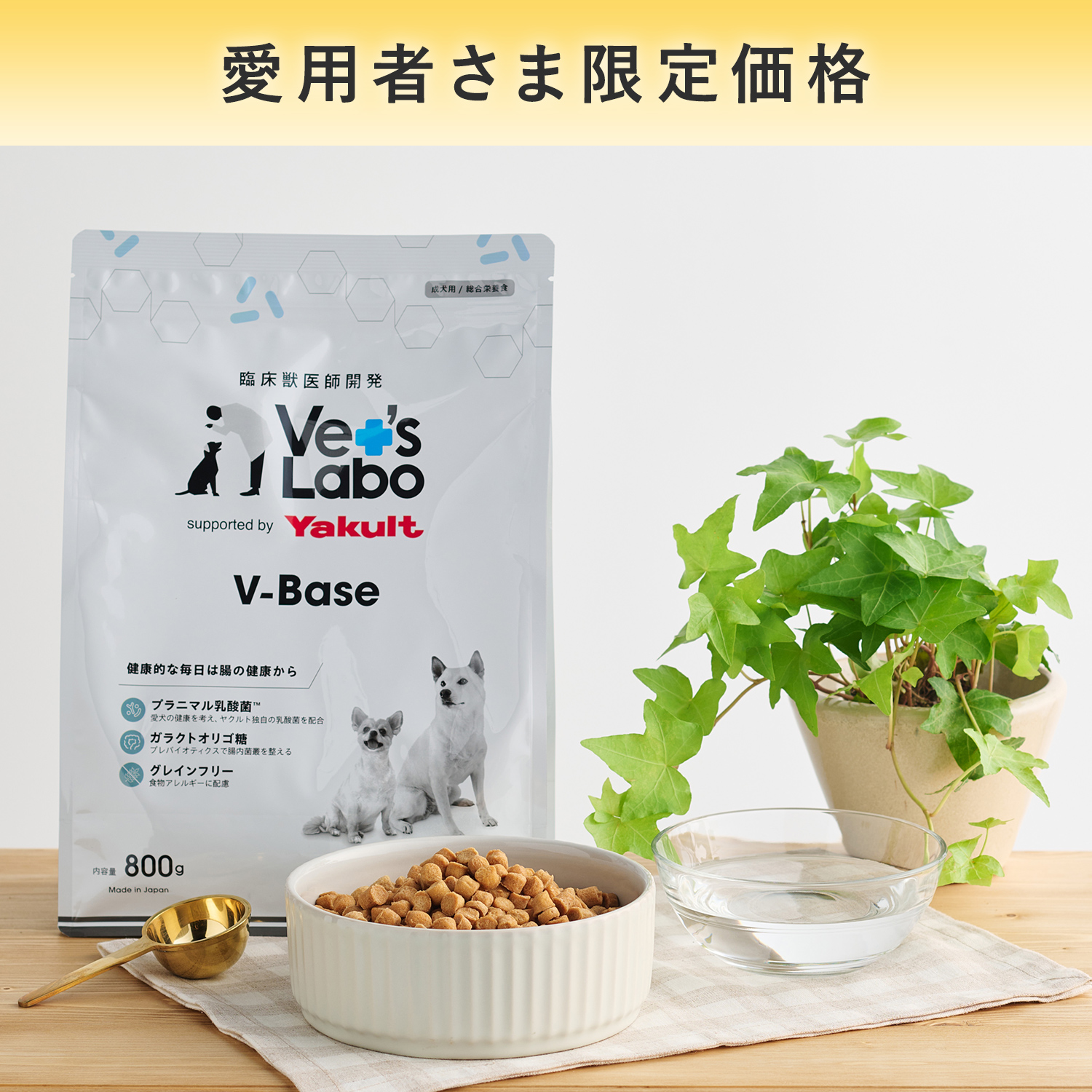 【通常商品】限定価格：犬用 V-Base