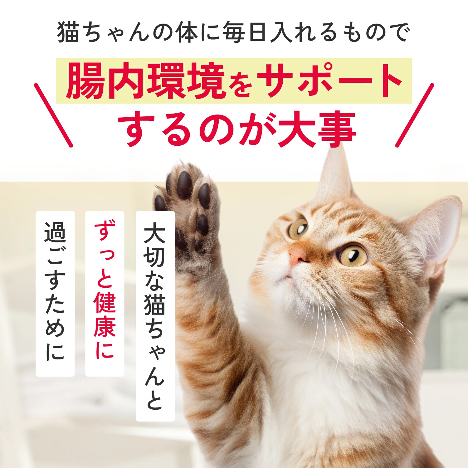 【定期便】 猫用MediSuppli ガラクトオリゴ糖 30包入り
