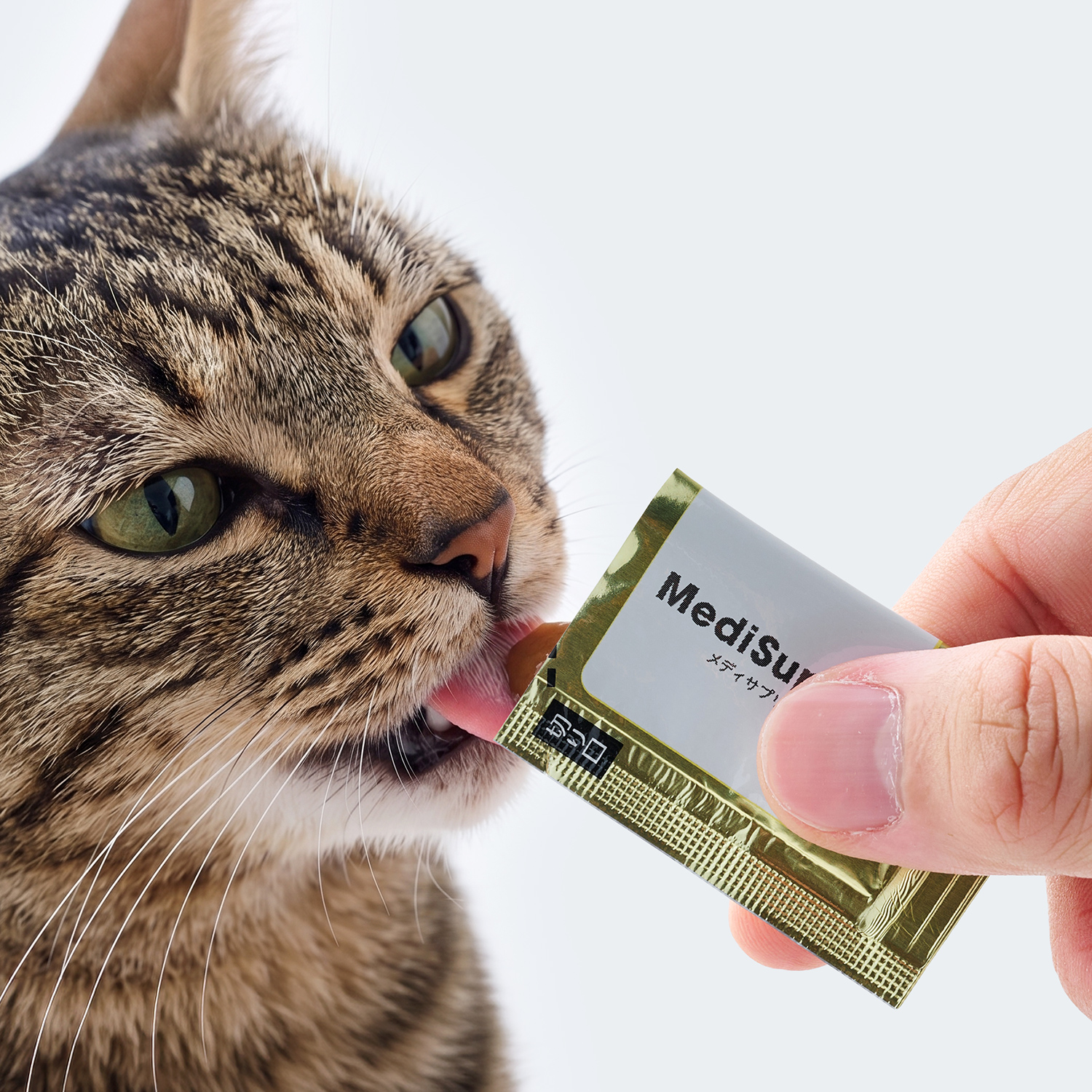 【通常商品】猫用MediSuppli ガラクトオリゴ糖 30包入り