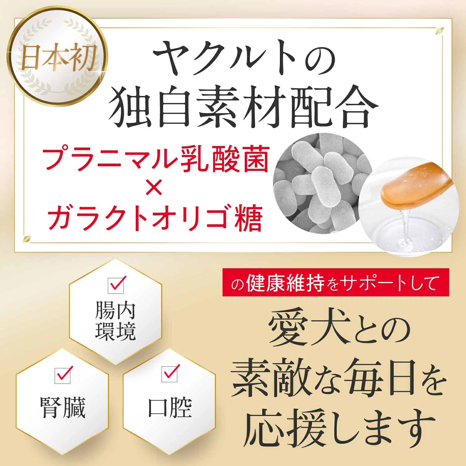 【通常商品：2袋】犬用V-Base
