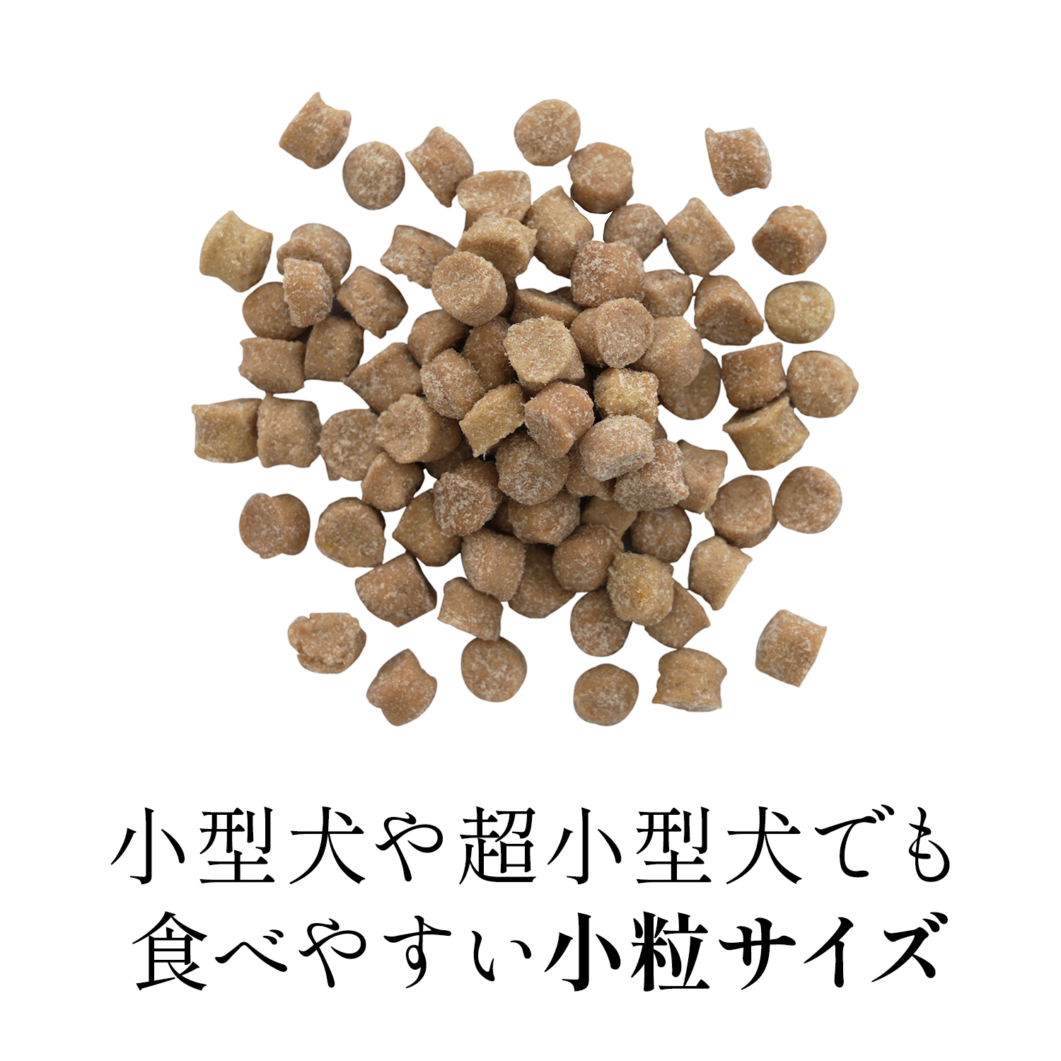 【通常商品】限定価格：犬用 V-Base