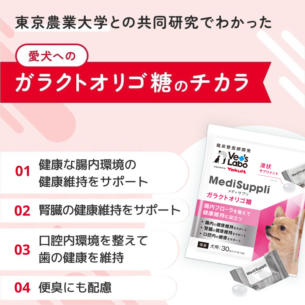 【定期便：2袋】犬用MediSuppli ガラクトオリゴ糖 30包入り