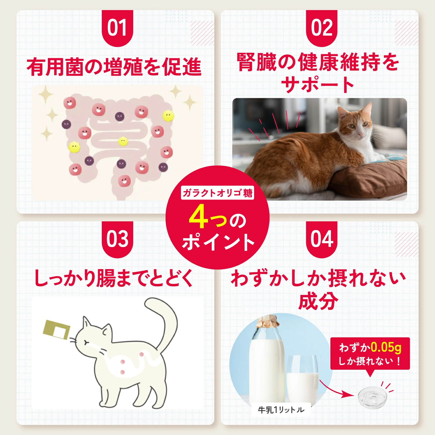 【通常商品】猫用MediSuppli ガラクトオリゴ糖 30包入り