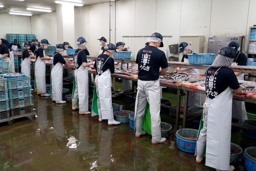 山田水産　うなぎ４匹セット