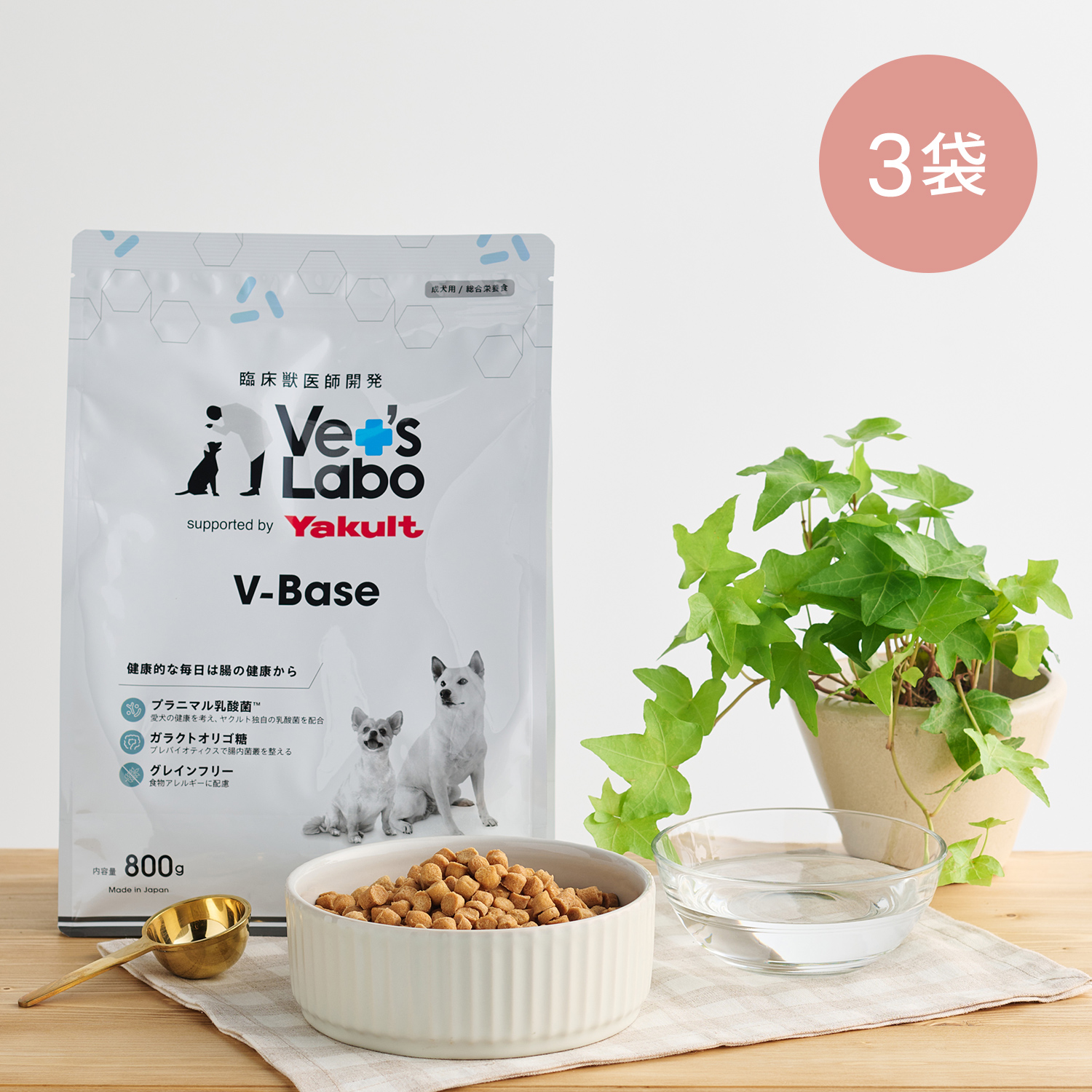 【通常商品：3袋】犬用V-Base
